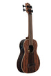BLEM - Striped Ebony Fretless Acoustic-Electric U•BASS®