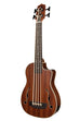 BLEM - Journeyman Acoustic-Electric U•BASS® with F-Holes