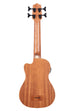 A Journeyman Acoustic-Electric U•BASS® with F-Holes shown at a back angle
