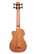 BLEM - Journeyman Acoustic-Electric U•BASS® with F-Holes