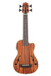BLEM - Journeyman Acoustic-Electric U•BASS® with F-Holes
